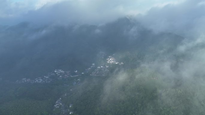 航拍龙井村