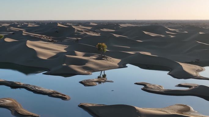 沙漠 胡杨 湖水 镜面 倒影