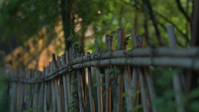 晨光中的竹篱笆墙围栏
