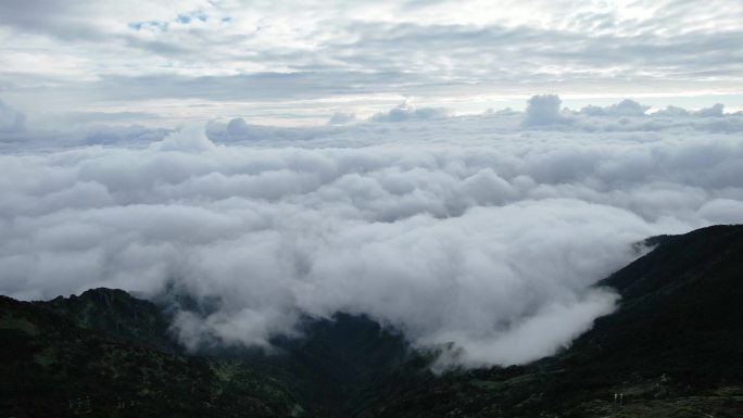 云海山川森林云大山风景云海云雾山水风光山