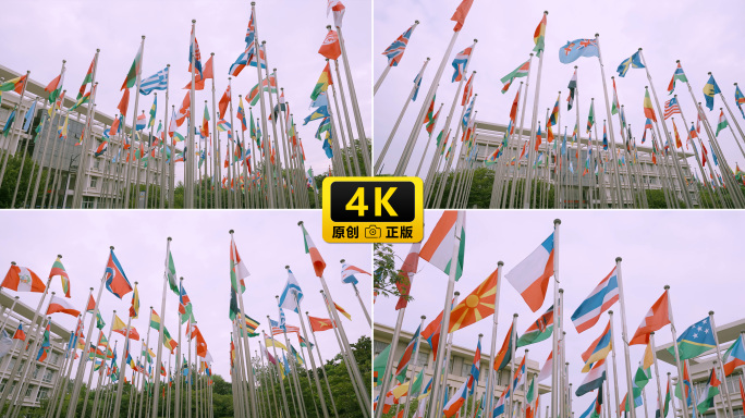 实拍升格联合国气象组织各国国旗