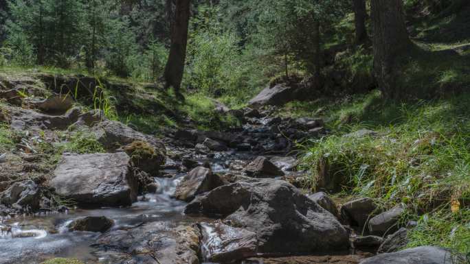森林溪水