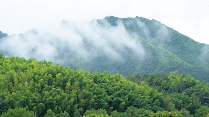 竹林晨雾山乡村振兴