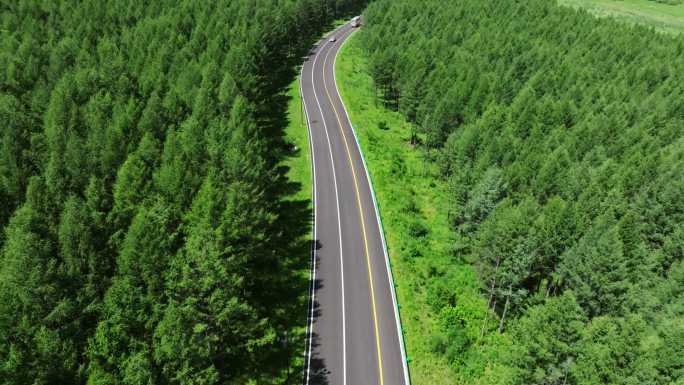 行驶在森林公路上的汽车