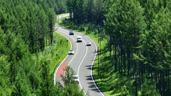 行驶在森林公路上的汽车