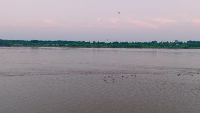 郑州黄河湿地