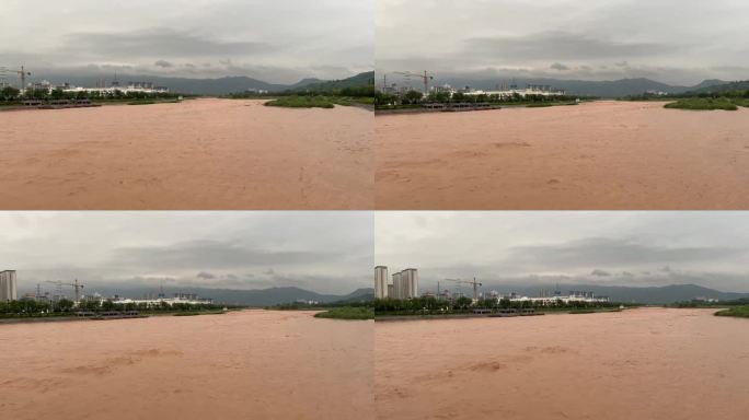 暴雨后的河水涨势迅猛