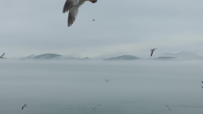 山东威海荣成海驴岛