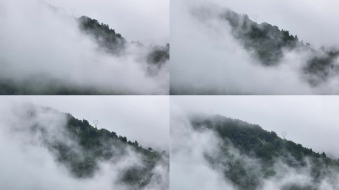 徽州区大雾