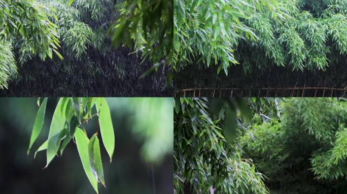 雨清明谷雨竹叶雨水下雨秋雨合集