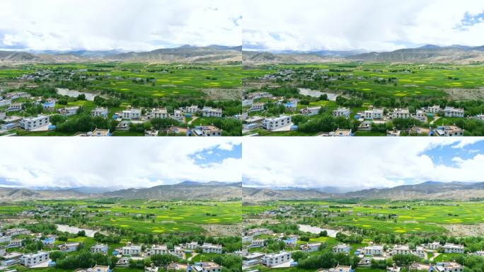 西藏农业 高原农业 云雾缭绕 山峰