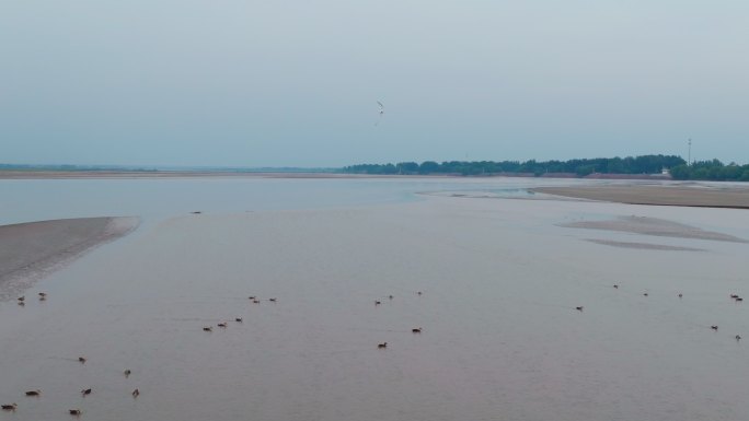 郑州黄河湿地