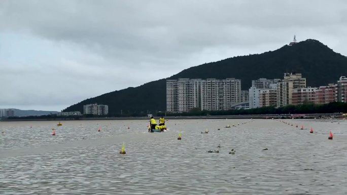 龙舟比赛 划船 传统节日