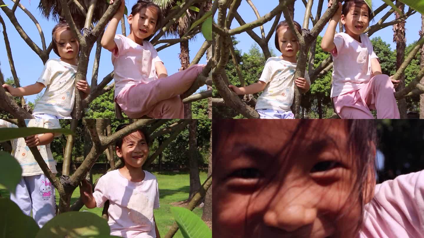 小孩 爬树 户外 人像摄影 实拍视频