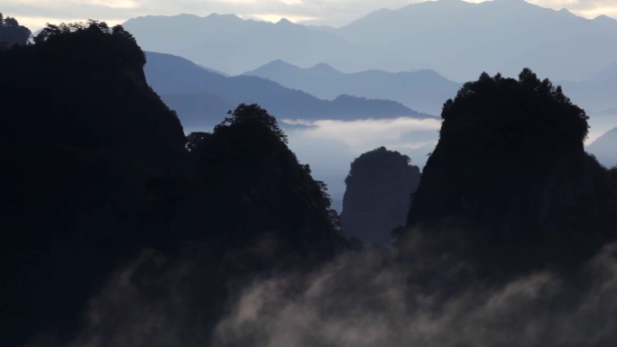 武夷山三仰峰 茶山高山云雾 日出