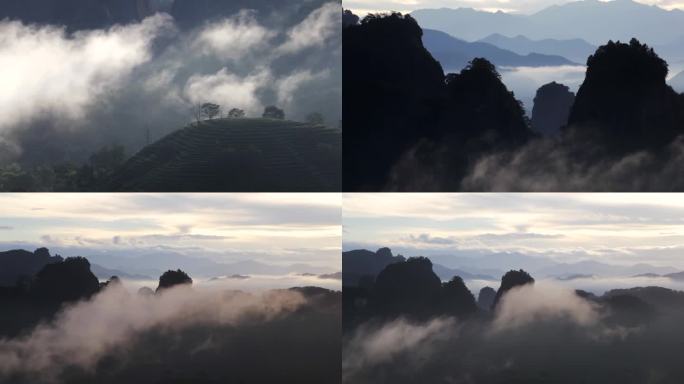 武夷山三仰峰 茶山高山云雾 日出