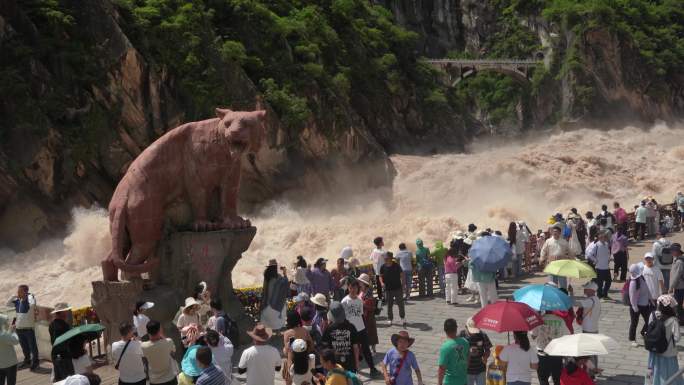 虎跳峡4K江水波涛汹涌金沙江浪花