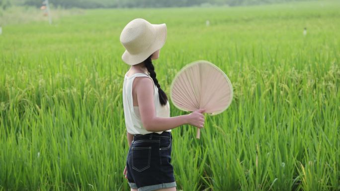 美女在田野中漫步乘凉视频素材