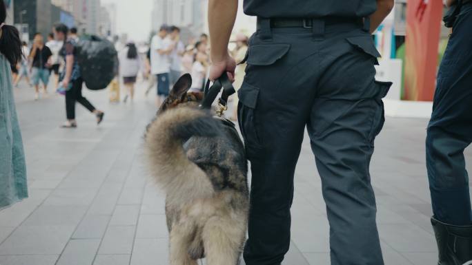 警犬治安巡逻