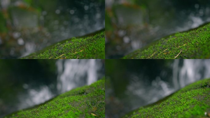 大自然  春天 瀑布 山泉 苔藓 22