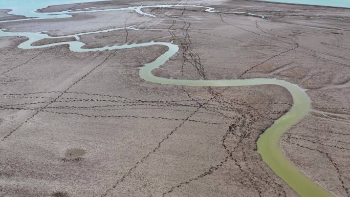 4k江苏盐城黄海湿地中的潮汐纹理