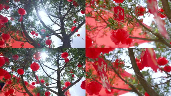 春节气氛 红包 红包树