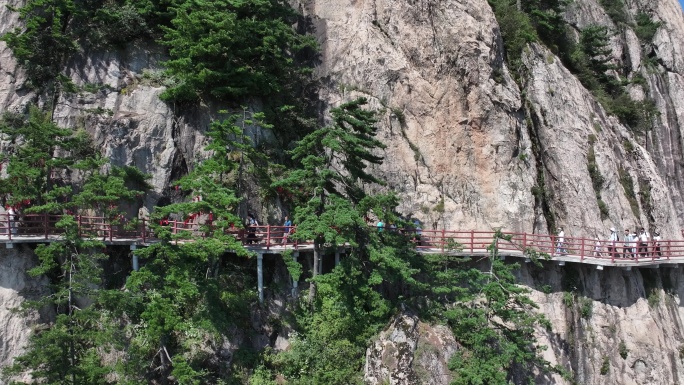 正版航拍河南老君山5A级风景区