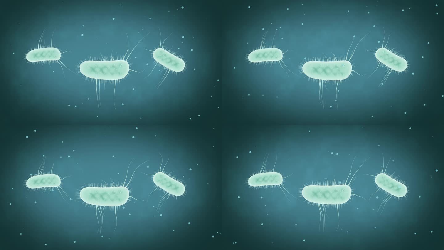 大肠杆菌 活性细菌 细胞