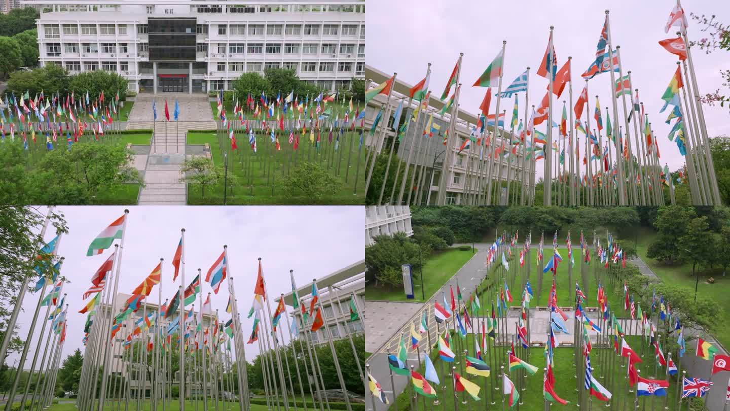 各国国旗旗帜飘扬世界气象组织旗阵