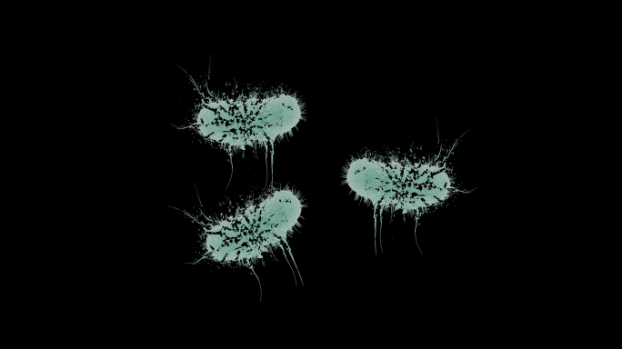 带通道 大肠杆菌清除 活性细菌破碎 细胞