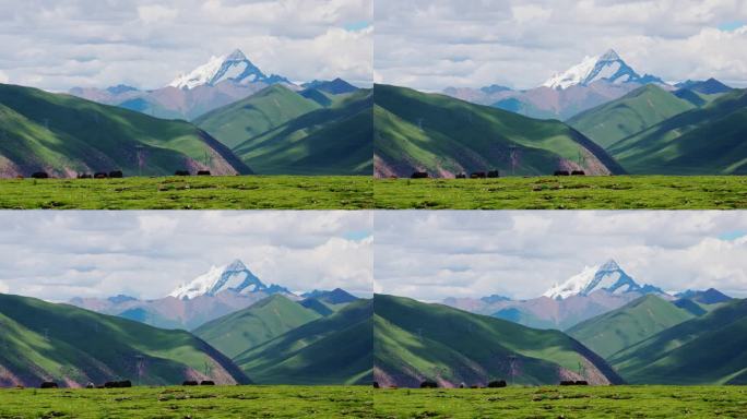 西藏那曲壮观大气草原雪山自然风光