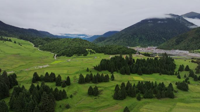 西藏林芝鲁朗小镇云海村庄田园自然风光航拍