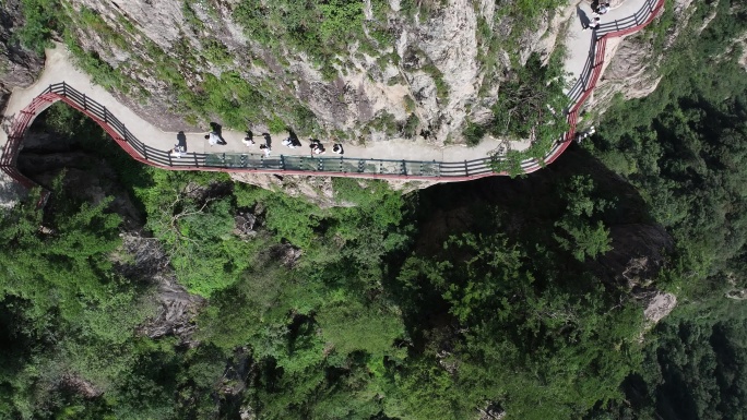 正版航拍河南老君山5A级风景区