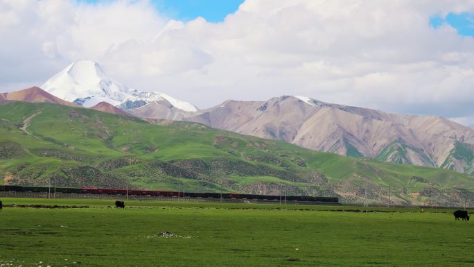 西藏那曲雪山草原上青藏铁路行驶的列车