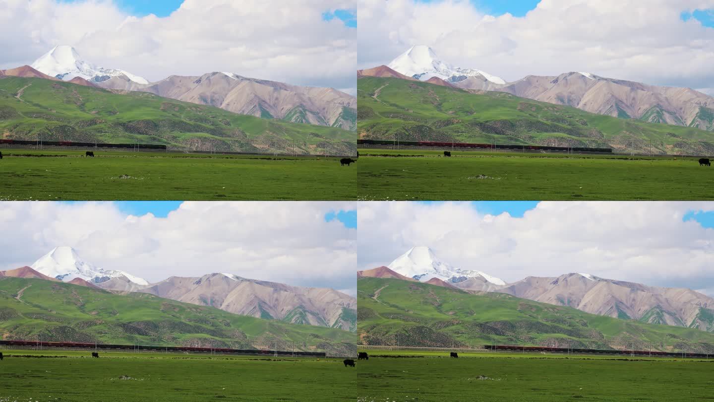 西藏那曲雪山草原上青藏铁路行驶的列车