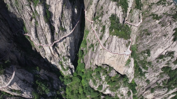 正版航拍河南老君山5A级风景区