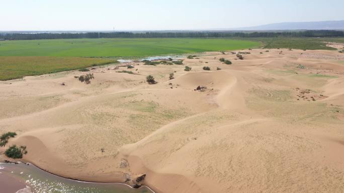 沙漠绿洲农场灌溉