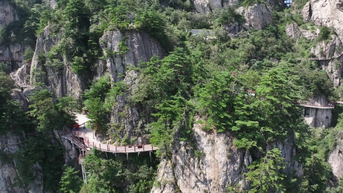 正版航拍河南老君山5A级风景区