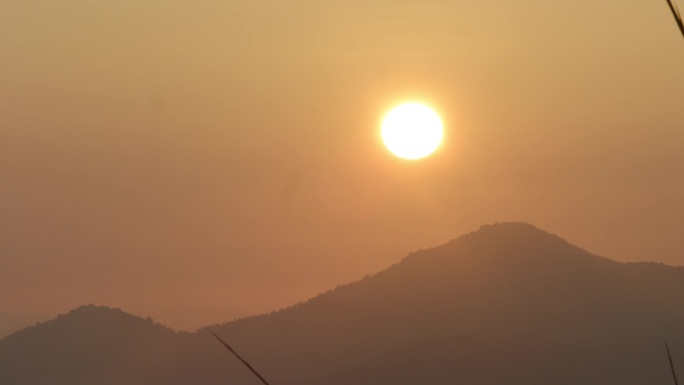 普洱茶 茶山 日出