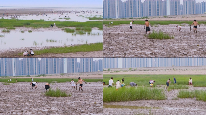 海边挖海鲜