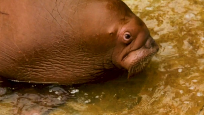 水族馆 海洋生物 游客观赏