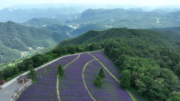 航拍湖北恩施巴东野三关铁厂花海景区