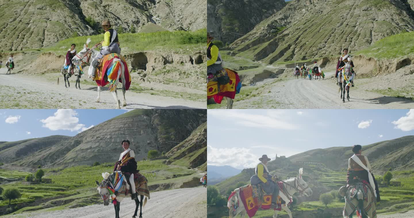 白马 藏族骑士 高原骑士 骑马代步 家畜