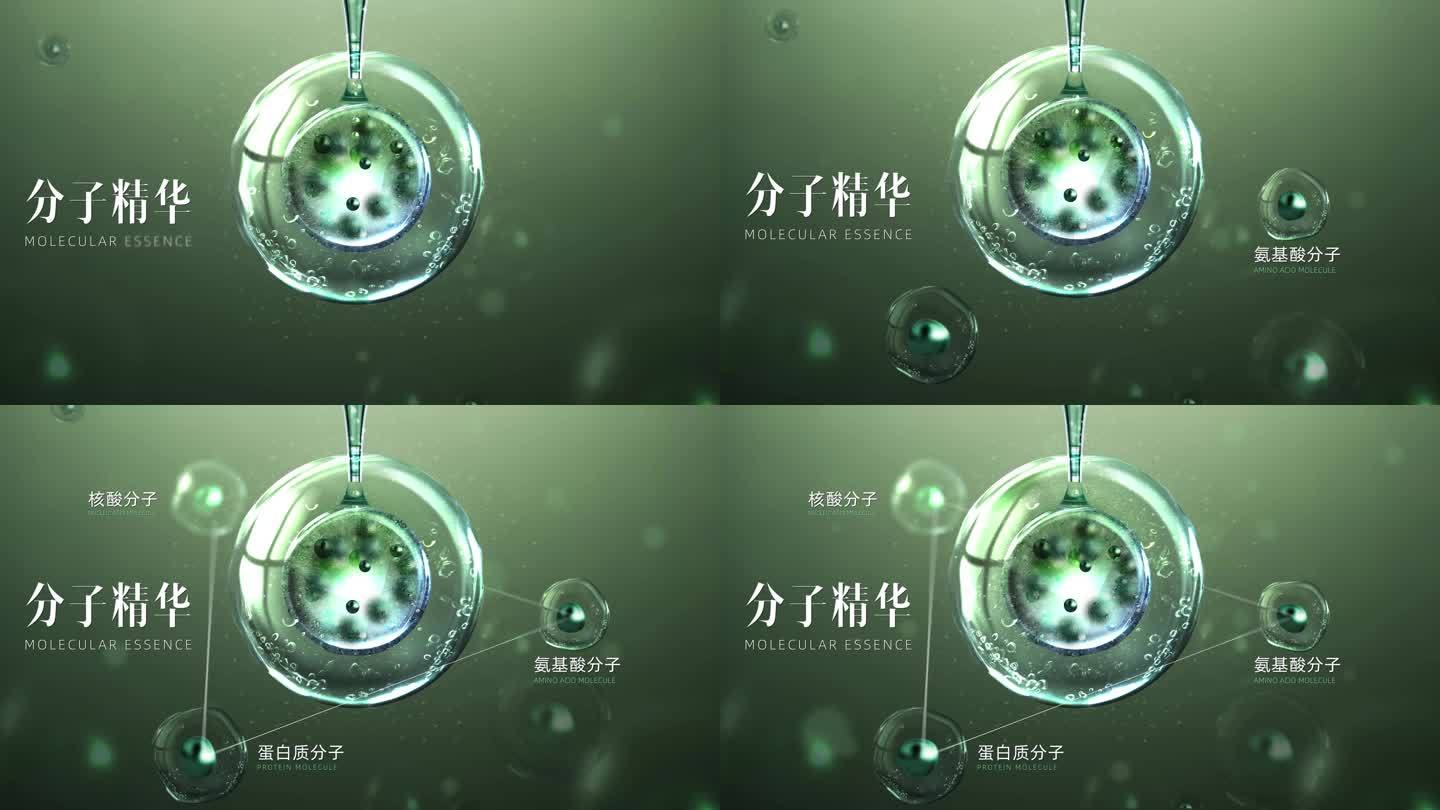 （原创）分子精华ae模板