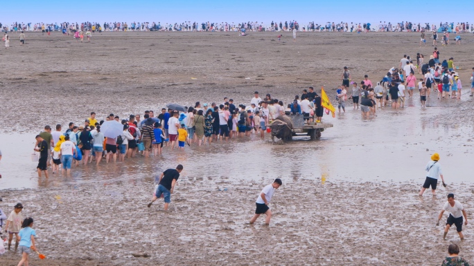 海边 赶海