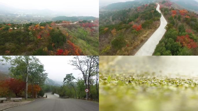 崎岖山路 户外活动 户外冒险