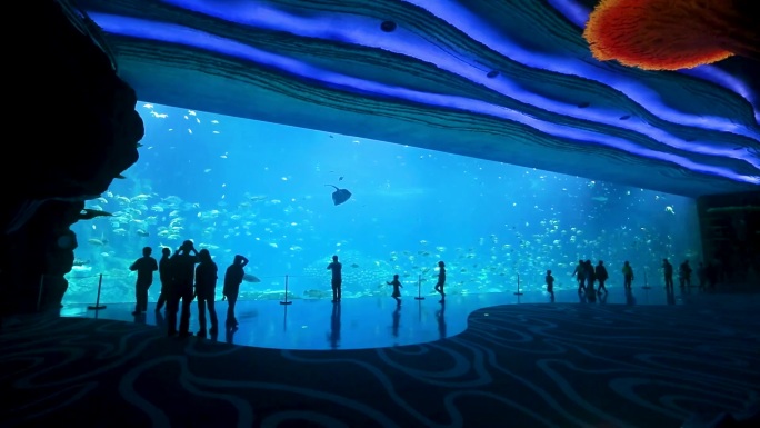 水族馆 海洋生物 游客观赏