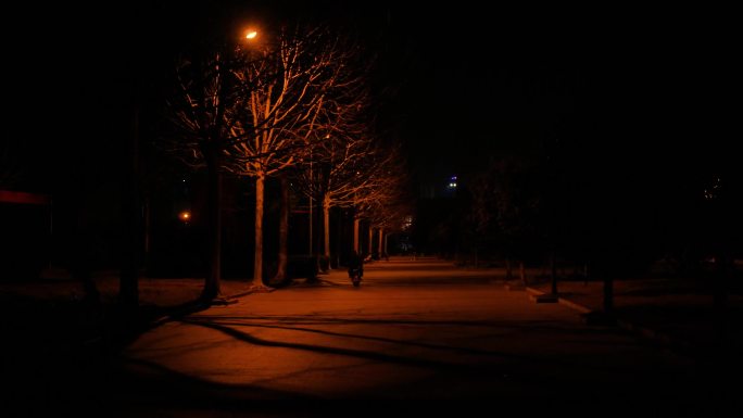 原创夜晚路灯，夜晚灯光，夜晚凄凉 深秋