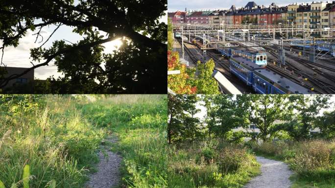 铁道旁的夏末-北欧-斯德哥尔摩