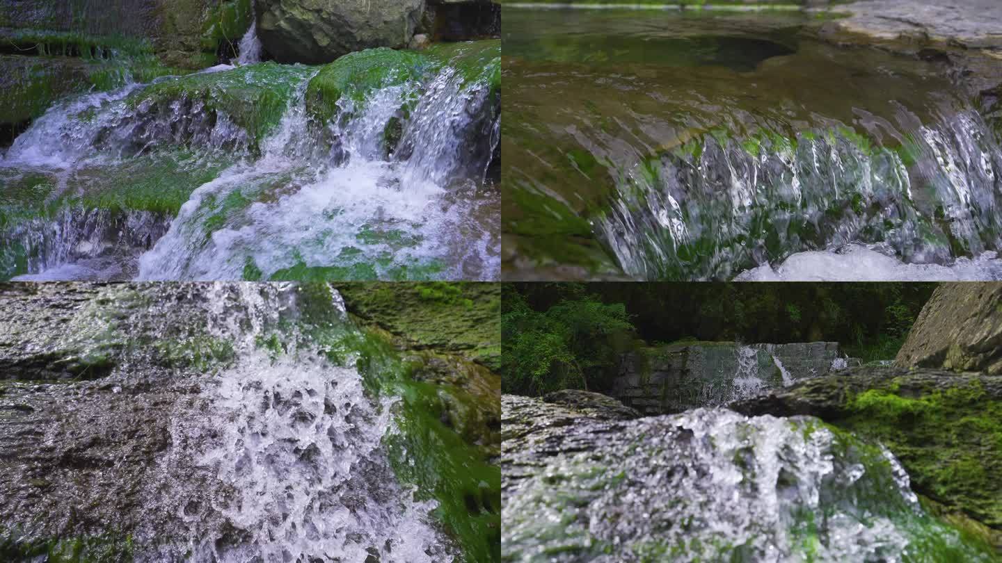 溪流林中小溪山泉水水源饮用水自然绿水生命